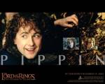 fellowship_pippin_1280.jpg