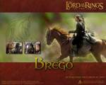 horses_brego_1280.jpg